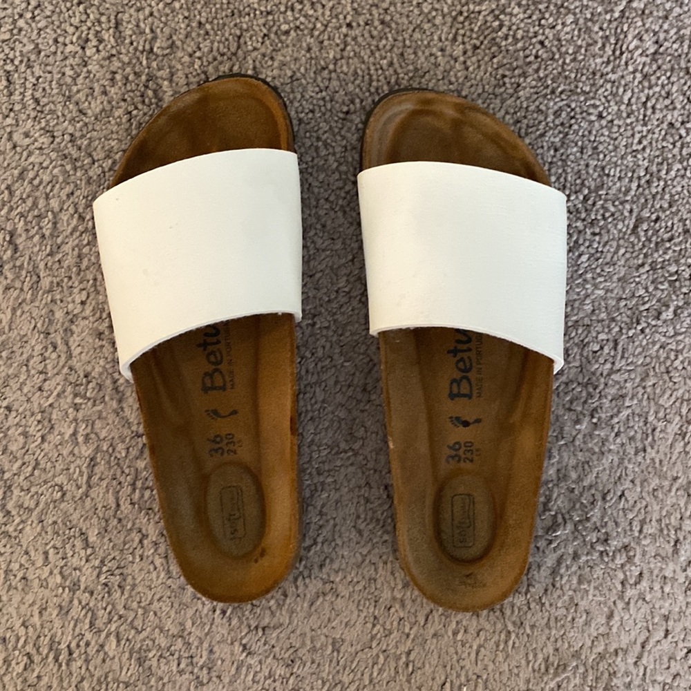 White Betula Slides
